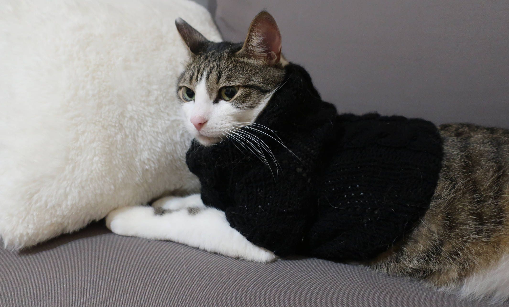 Pull De Chat Noir Pull Tricote A La Main Cadeau Dhalloween Etsy