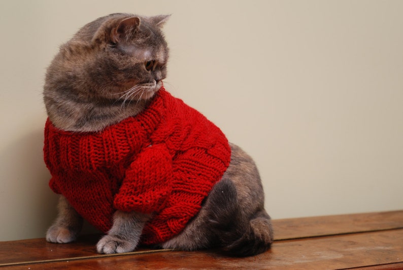 Red Sweater for Cat Cat clothes Warm hand knitted sweater Etsy