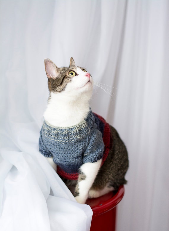 blue cat sweater