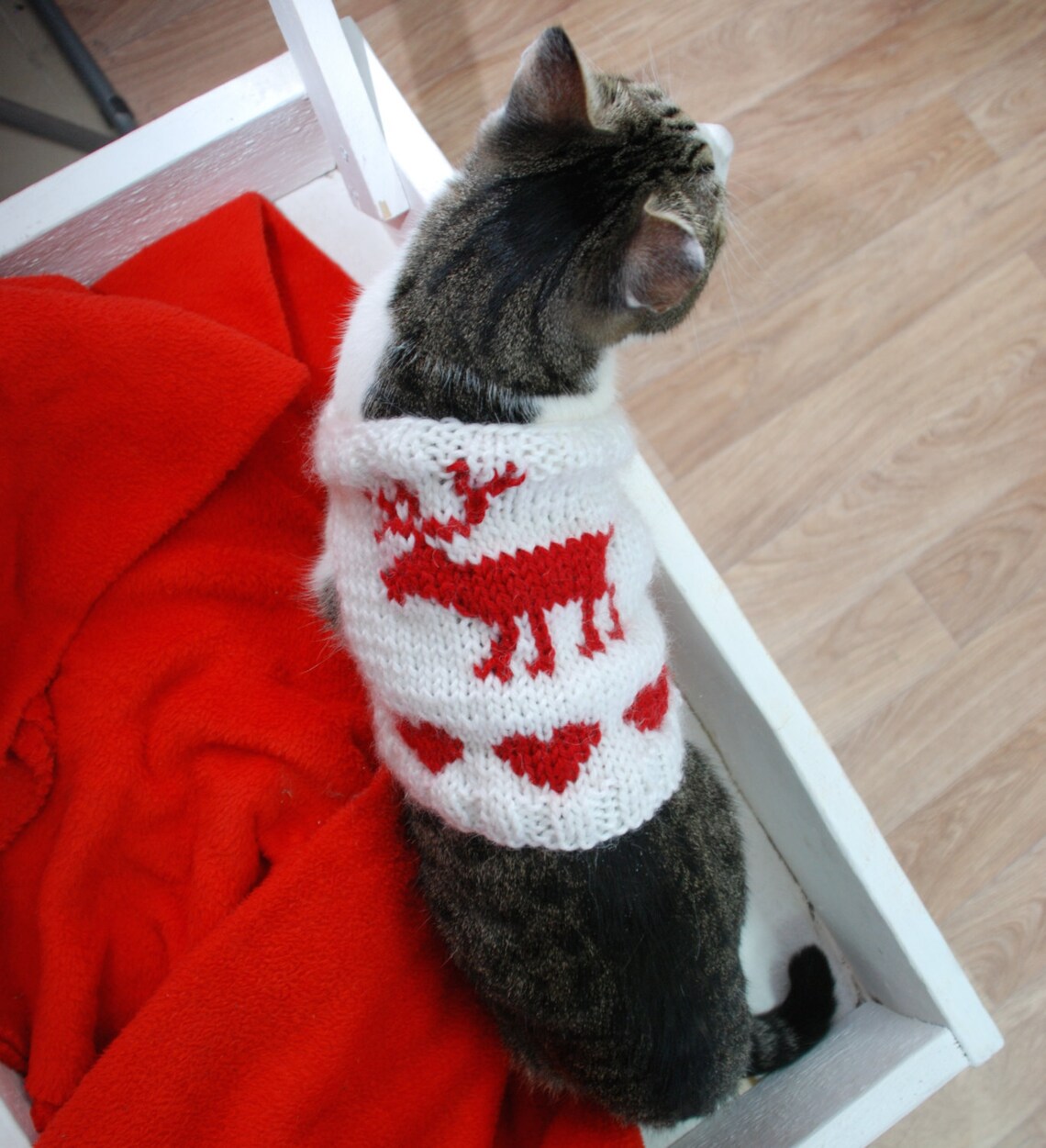 Christmas Cat Vest with Reindeer White cat clothes Warm cat Etsy