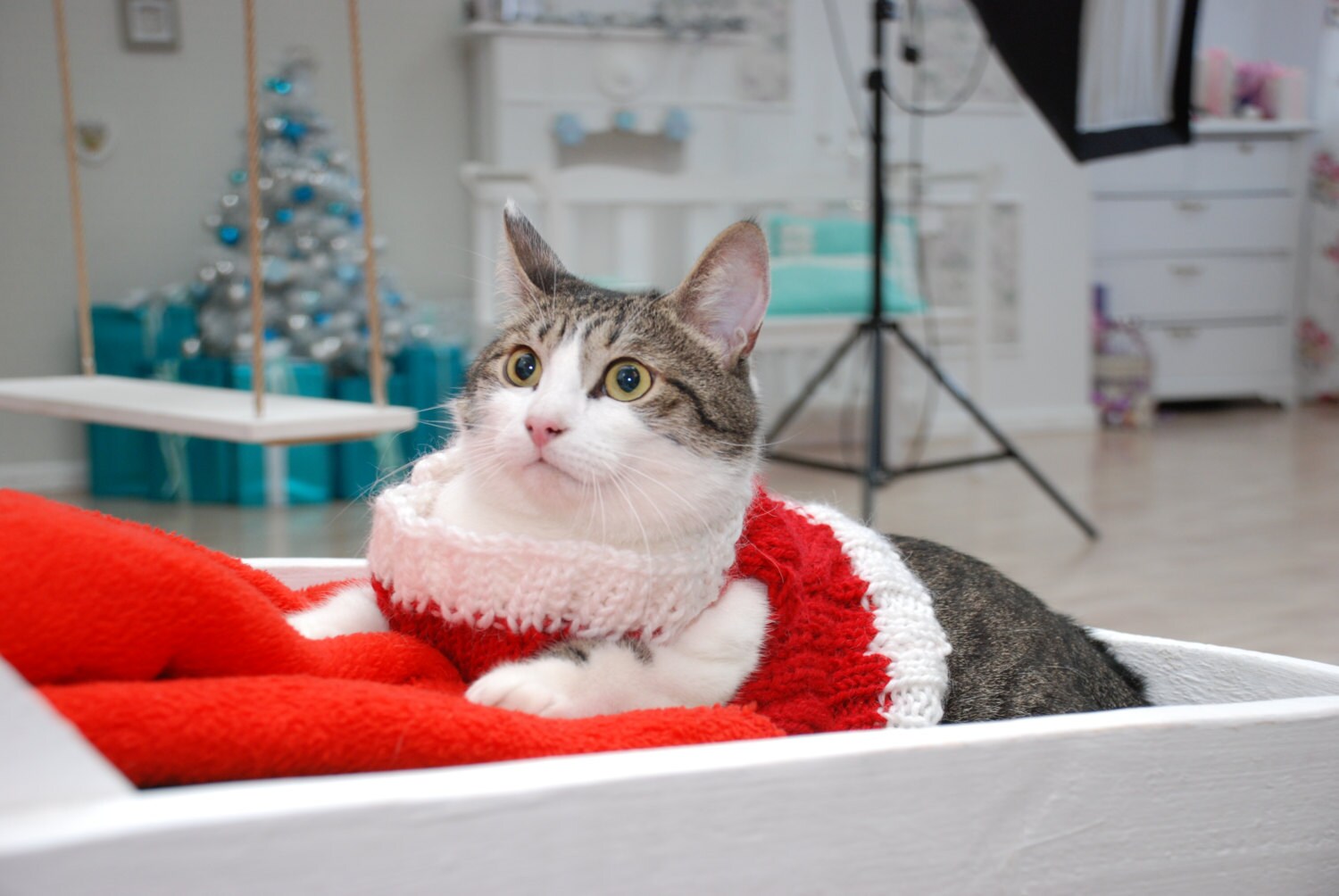 Christmas Cat Vest Red cat clothes Warm cat sweater Knit Etsy