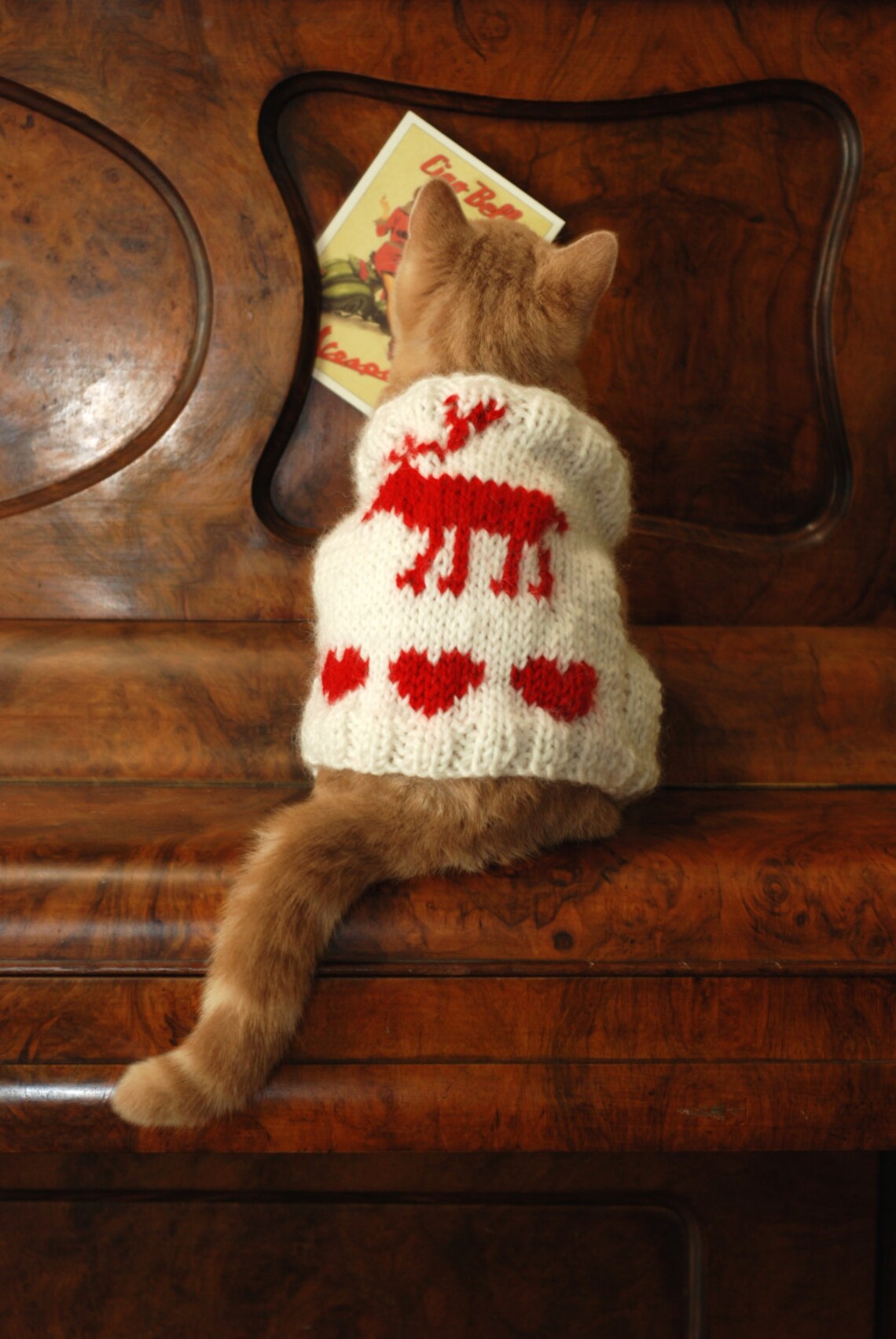 Christmas Cat Vest with Reindeer White cat clothes Warm cat Etsy