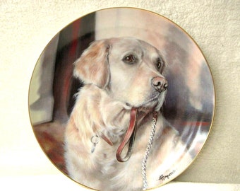 Golden Labrador Plate Plaque By Danbury Mint Called Taking The Lead With 22ct Gold Rim New Unboxed Cute