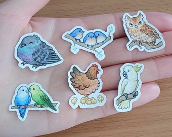Birds (Owl, Parakeet, Pigeon, Bluebirds, Chicken, Cockatoo) - Vinyl Stickers 6-pack