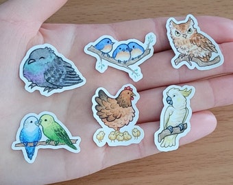 Birds (Owl, Parakeet, Pigeon, Bluebirds, Chicken, Cockatoo) - Vinyl Stickers 6-pack