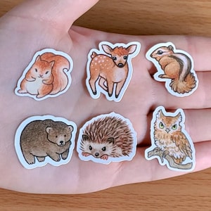 以下が含まれることがあります： リス、鹿、熊、ハリネズミ、フクロウ、リスの6種類の動物が描かれたイラストステッカーのセットです。ステッカーは白い背景にあり、クラフト、ジャーナル、ラップトップに遊び心のあるタッチを加えるのに最適です。