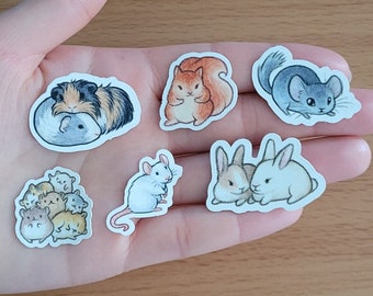 Konijn, Chinchilla, Eekhoorn, Cavia, Rat en Hamster - Vinyl Stickers 6-pack