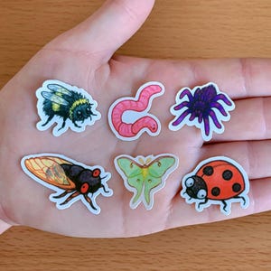 Puede incluir: Una colección de pegatinas con temática de insectos, que incluyen un abejorro, un gusano, una araña, una cigarra, una polilla y una mariquita. Cada pegatina es colorida y detallada, con un borde blanco. Las pegatinas se muestran en una mano.