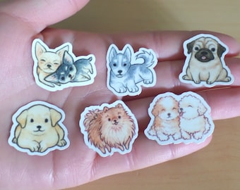 Dogs (Chihuahua, Husky, Pug, Golden Retriever, Pomeranian, Poodle) - Vinyl Stickers 6-pack