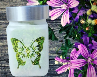 Etched Butterfly Stash Jar: Handmade Airtight Glass - Twisted420Glass