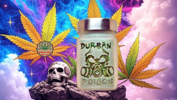 Durban Poison Stash Jar | Etched Glass Weed Storage | Airtight Cannabis Jar | 420 Gifts by Twisted420Glass