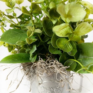 Tin Baby Cup Floral Arrangement