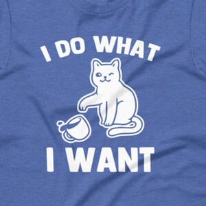 I Do What I Want (Cat) T-Shirt (Unisex)