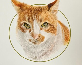 Ginger Cat Blank Cards, Colored Pencil Portrait, Set of 6