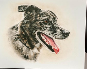 Catahoula Leopard Dog Card Set - 'Kofi' Portrait, Blank Note Cards