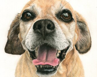 Puggle - "Frodo" a Colored Pencil Pet Portrait Print