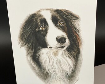 Border Collie Card Set - "Spencer" Portrait, Blank Note Cards