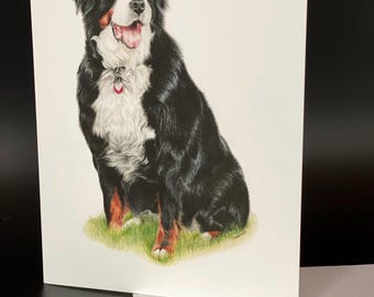 Bernese Mountain Dog Card Set, Colored Pencil Art, All Occasion Cards