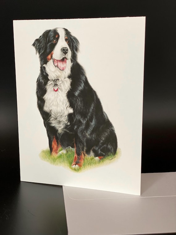 Bernese Mountain Dog "Amelia". Blank card pack of 6. An all occasion beautiful gift!