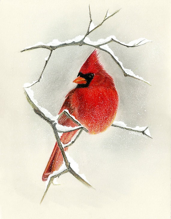 THE CARDINAL VISITOR. Giclee print of my Pastel drawing. A memorial gift or holiday gift. Matted, ready to frame and gift ready!