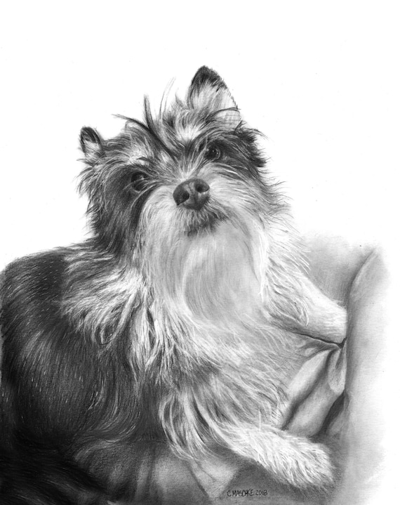 Cairn Terrier, “Stella”. Giclee print of my original Graphite pencil pet portrait. Matted, ready to frame and gift ready!