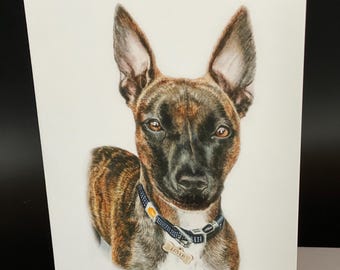 Layla Dog Portrait Card Set, All Occasion Blank Notes (Pack of 6)