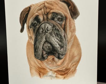 Mastiff Dog Art Card Set, Blank All-Occasion Cards