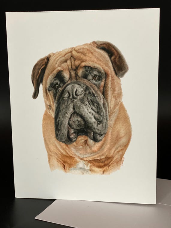 A Mastiff named "Mojo". Blank card pack of 6. An all occasion beautiful gift!