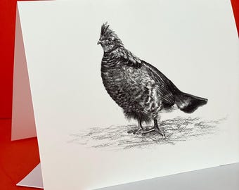 Grouse Drawing Cards, Blank Note Cards (Set of 10)