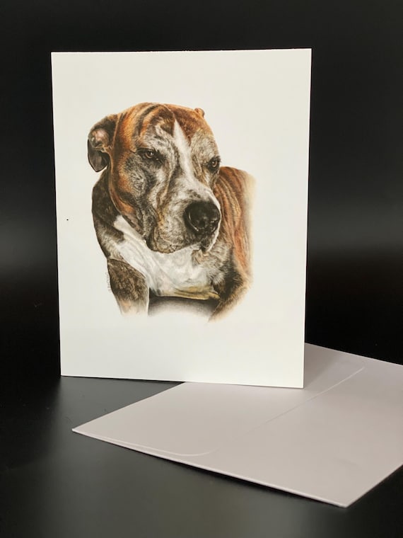 Brindle American Pitbull Terrier "Romeo". Blank card pack of 6. An all occasion beautiful gift!