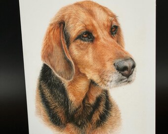 Hound Dog "Blossom" Blank Card Set: Colored Pencil Art, All Occasion Gift