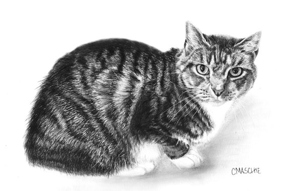 Tabby Cat, Giclee art print of my original Graphite pencil pet portrait.  Matted, ready to frame and gift ready!