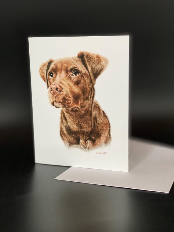 Beautiful "Banyan". Blank card pack of 6. An all occasion beautiful gift!