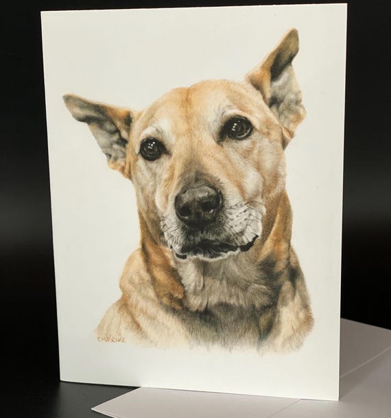 Lab mix "Hagar". Blank card pack of 6. An all occasion beautiful gift!