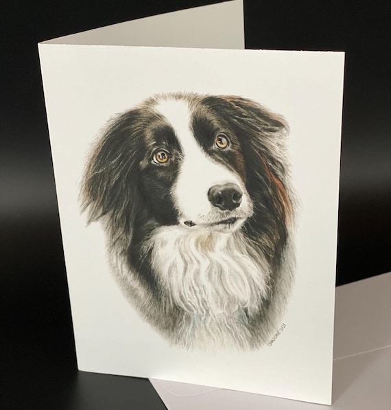 Border Collie "Spencer". Blank card pack of 6. An all occasion beautiful gift!