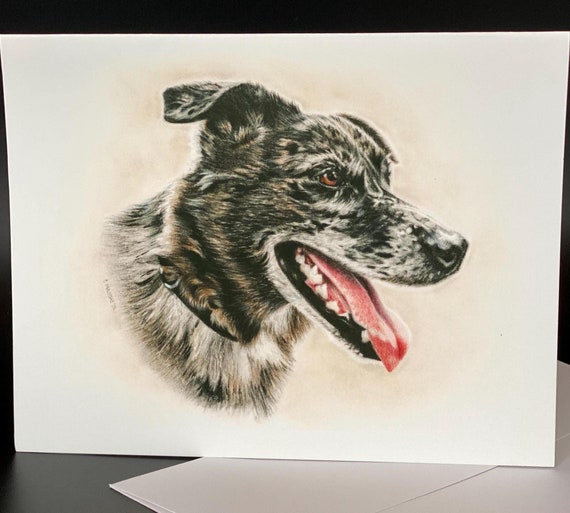 Catahoula Leopard Dog - "Kofi" . Blank card pack of 6. An all occasion beautiful gift!