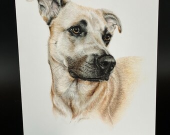 Dog Portrait Blank Cards, All Occasion Note Card Set