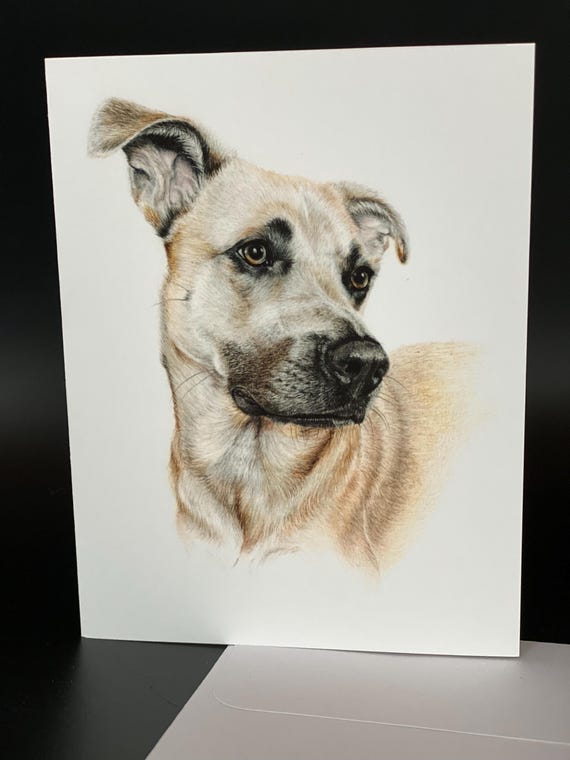 Beautiful "Bodhi". Blank card pack of 6. An all occasion beautiful gift!