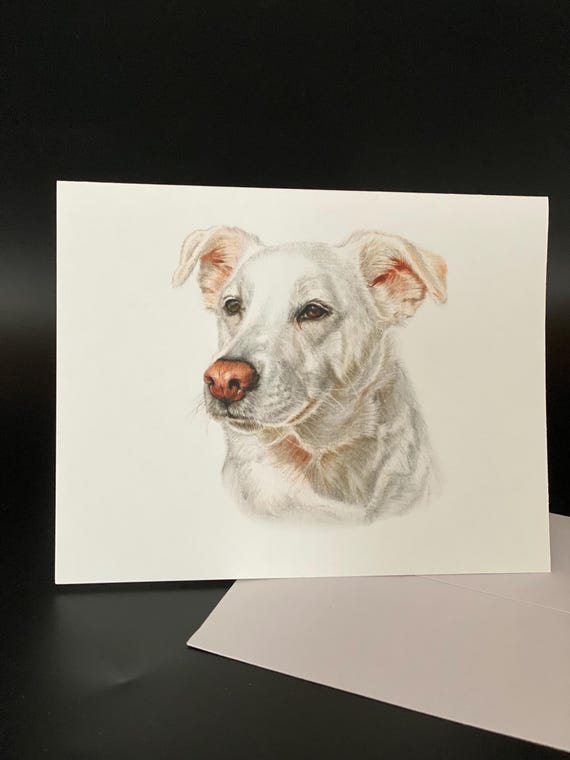 Maizie a sweet lab mix. Blank card pack of 6. An all occasion beautiful gift!