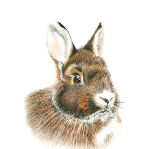 Giclee print of an original drawing &quot;Bunny portrait&quot;
