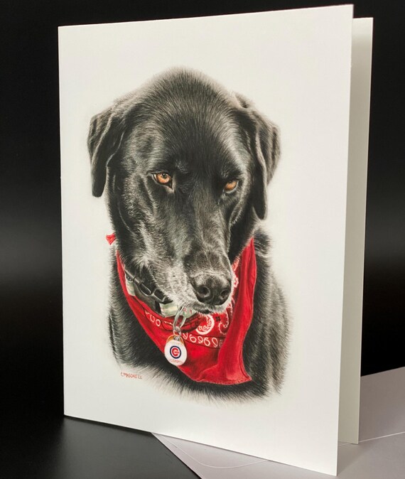 A black Lab "Wrigley" . Blank card pack of 6. An all occasion beautiful gift!