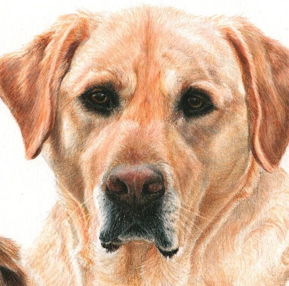 A triple portrait of Betsy's loves, A colored pencil portrait giclee print. Matted, ready to frame and gift ready!