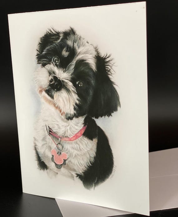 Shih Tzu, “Zoey”. Blank card pack of 6. An all occasion beautiful gift!