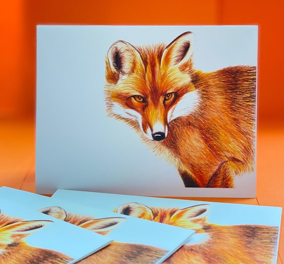 Red Fox blank card pack of 6