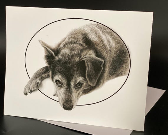 Sweet Black Dog. Blank card pack of 6. An all occasion beautiful gift!