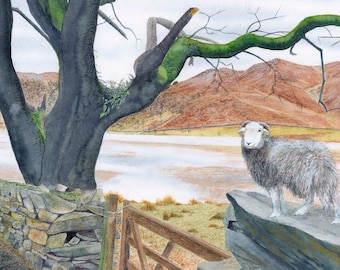 Art Print: "Queen of the fells"" - A3 sheep print, wall art, sheep painting, Herdwick sheep, Cumbria, from a painting by Dave Marsh