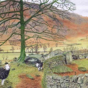 Art Print: "Outside the fold" - A4 landscape print, wall art, sheep painting, Herdwick sheep, Cumbria, from a painting by Dave Marsh