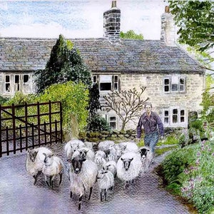 Art Print: &quot;Ghyll House Farm&quot; - A3 sheep print, farmhouse, countryside print, sheep painting,  wall art, from a painting by Dave Marsh