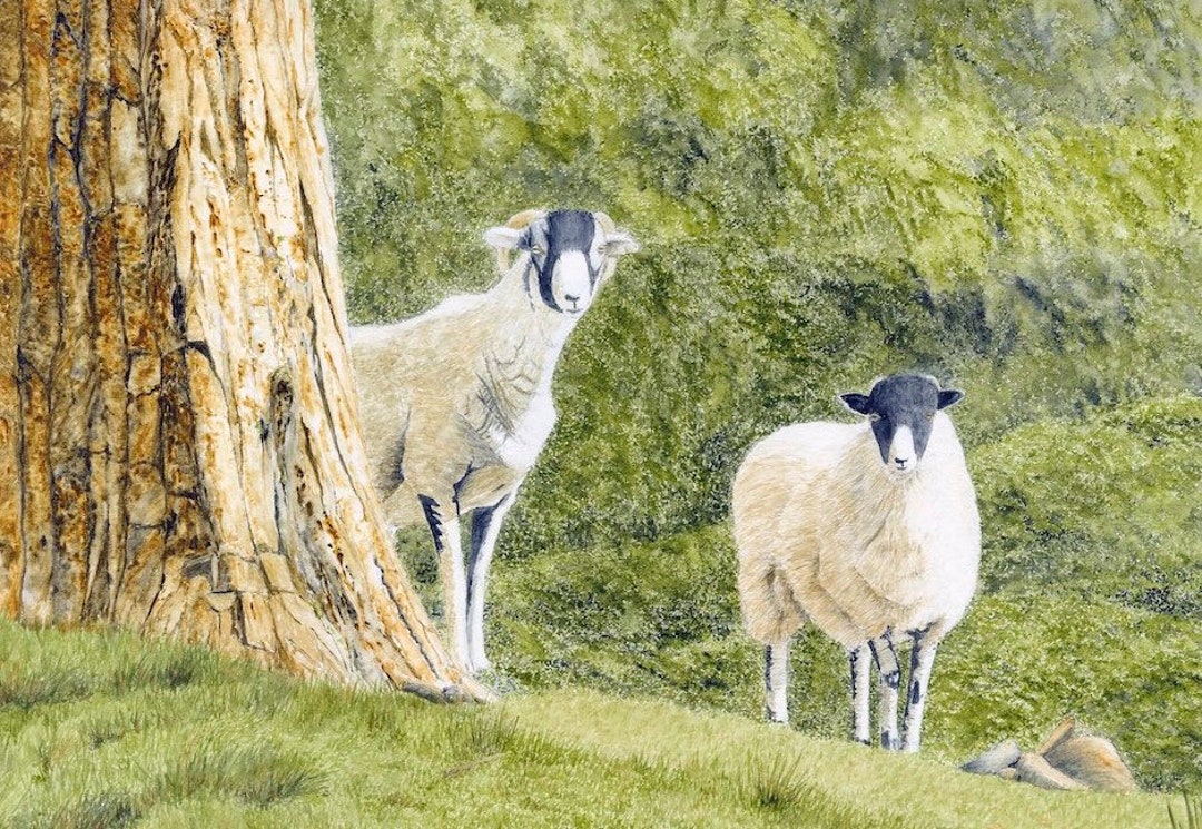 Art Print: "woodland Visitors" - A4 Sheep Print, Woodland Sheep ...