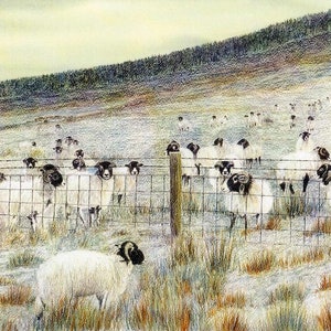 Art Print: &quot;A frosty reception&quot; - A4 sheep print, wall art, sheep painting, Swaledale sheep, winter landscape, from a painting by Dave Marsh